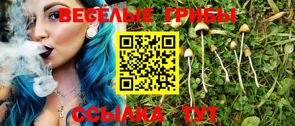 Галлюциногенные грибы Psilocybe Когалым